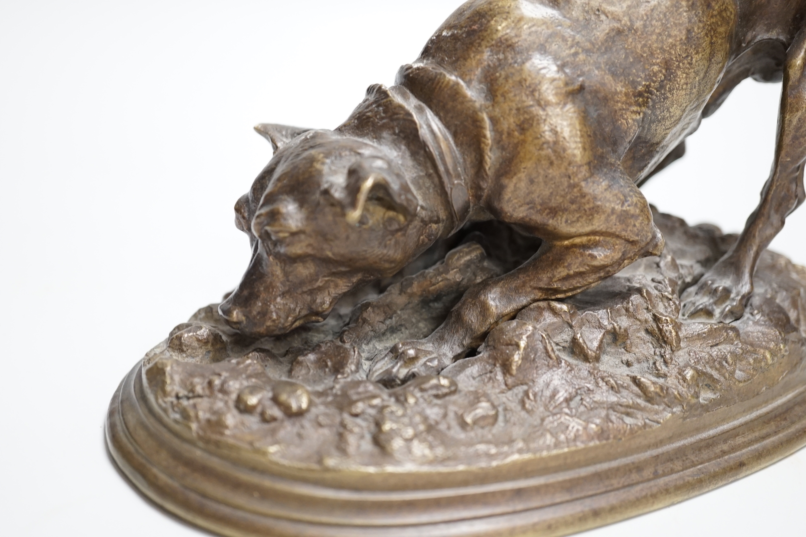 After Pierre Jules Mène (1810-1879). A bronze study of a hunting hound, 19cm wide
